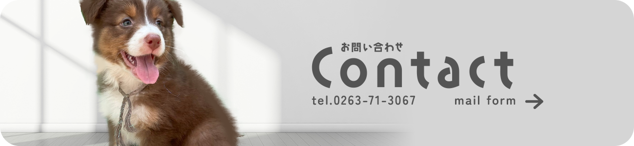 banner_contact